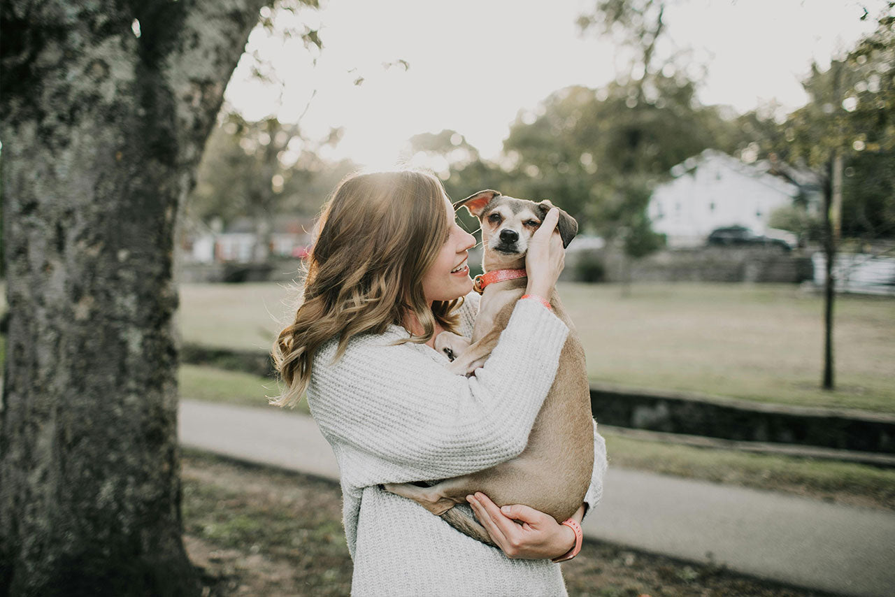 Freedom for Your Pet, Joy for You