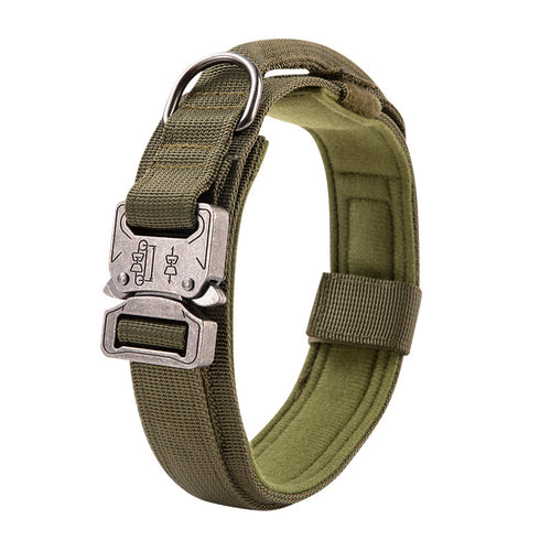 Adjustable Outdoor Collar for Big Dogs