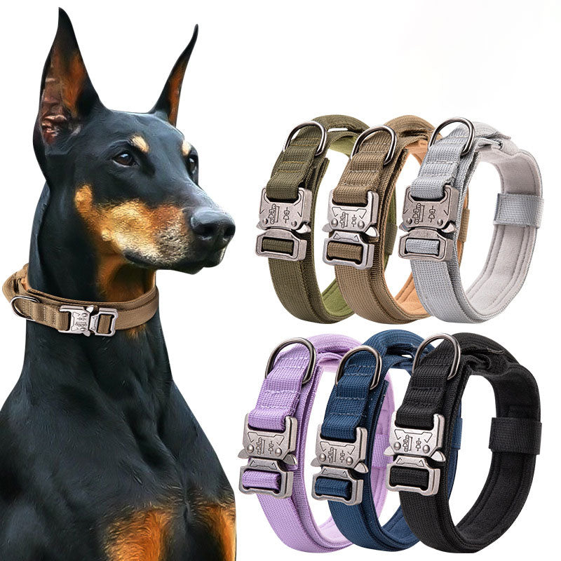 Adjustable Outdoor Collar for Big Dogs