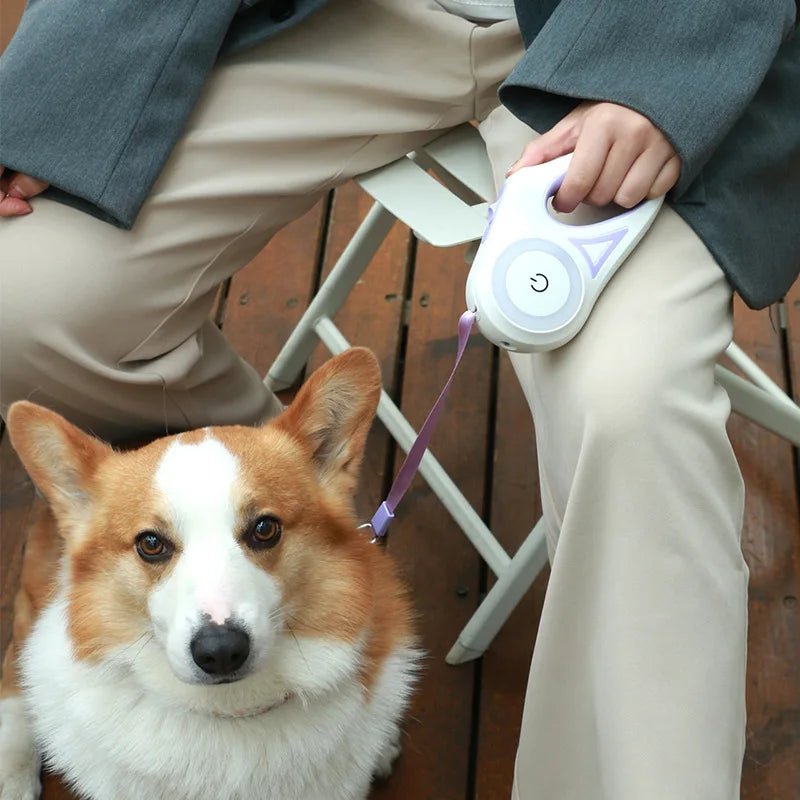 Automatic LED Retractable Dog Leash with Light for Small & Medium Dogs