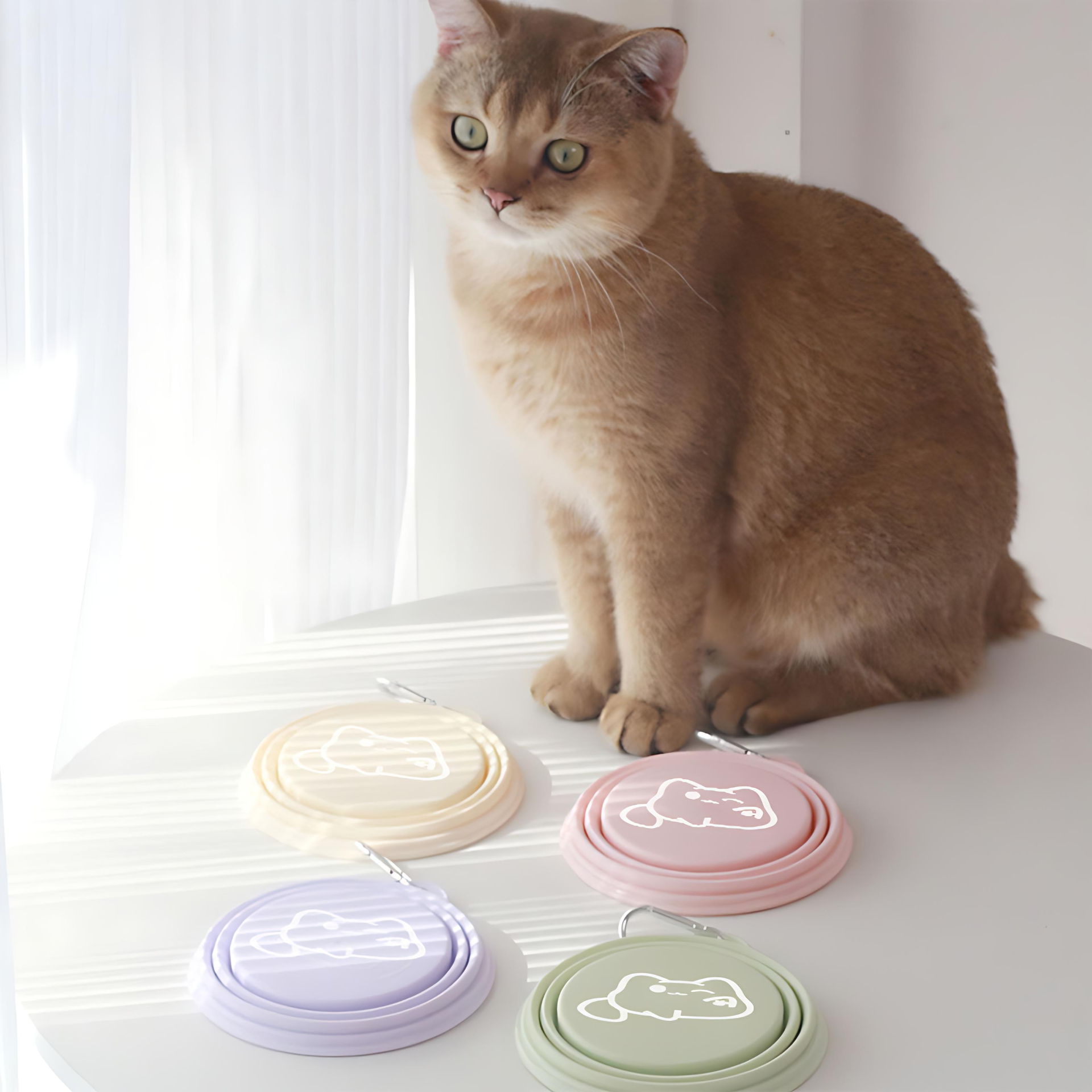 Collapsible Travel Outdoor Pet Bowl for Dogs & Cats