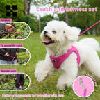 Reflective Adjustable Dog Harness & Leash Set for Small to Medium Dogs and Cats