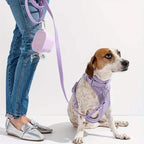 400ml Foldable Pet Bowl with Lid Leakproof Travel Dish