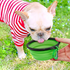 Collapsible Bowl Portable Travel Outdoor Water Food Bowl