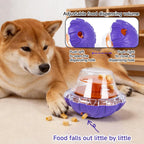 Pet Feeding Toy Food Dispensing Ball