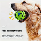 Dog Toys Ball, Interactive Dog Ball, Shaking with Gibbering Sound, for Training & Herding,Ball Indoor Outdoor Safe Puppy Gift