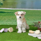 400ml Foldable Pet Bowl with Lid Leakproof Travel Dish