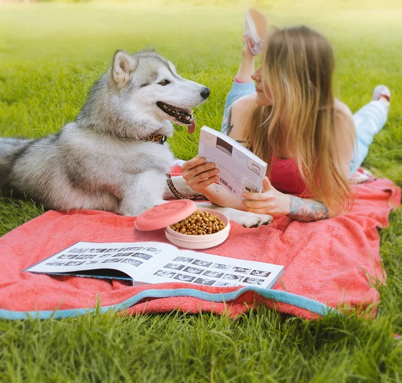 Portable Outdoor Pet Bowl: 2-in-1 Travel Dog Food/Water Dish with Treat Compartment
