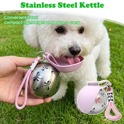 Stainless Steel Kettle Foldable Pet Water Bowl for Dogs & Cats