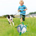 Interactive Soccer Ball for Medium & Large Dogs – Durable Outdoor Toy