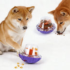 Pet Feeding Toy Food Dispensing Ball