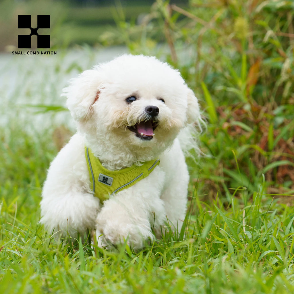 Reflective Adjustable Dog Harness & Leash Set for Small to Medium Dogs and Cats
