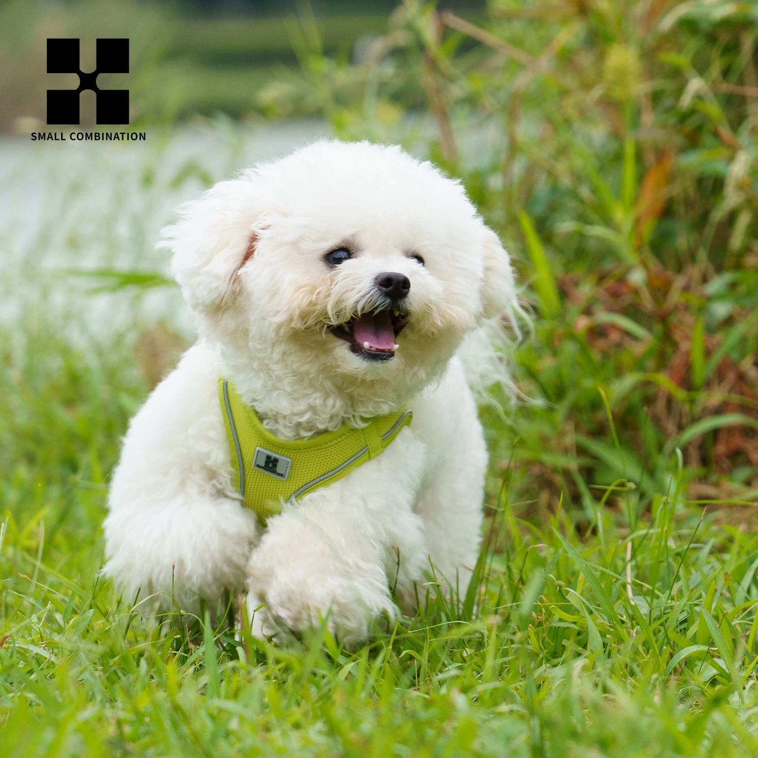 Reflective Adjustable Dog Harness & Leash Set for Small to Medium Dogs and Cats