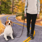 Pet Dog  Leash Safety Rope Cowhide and Leather Belt
