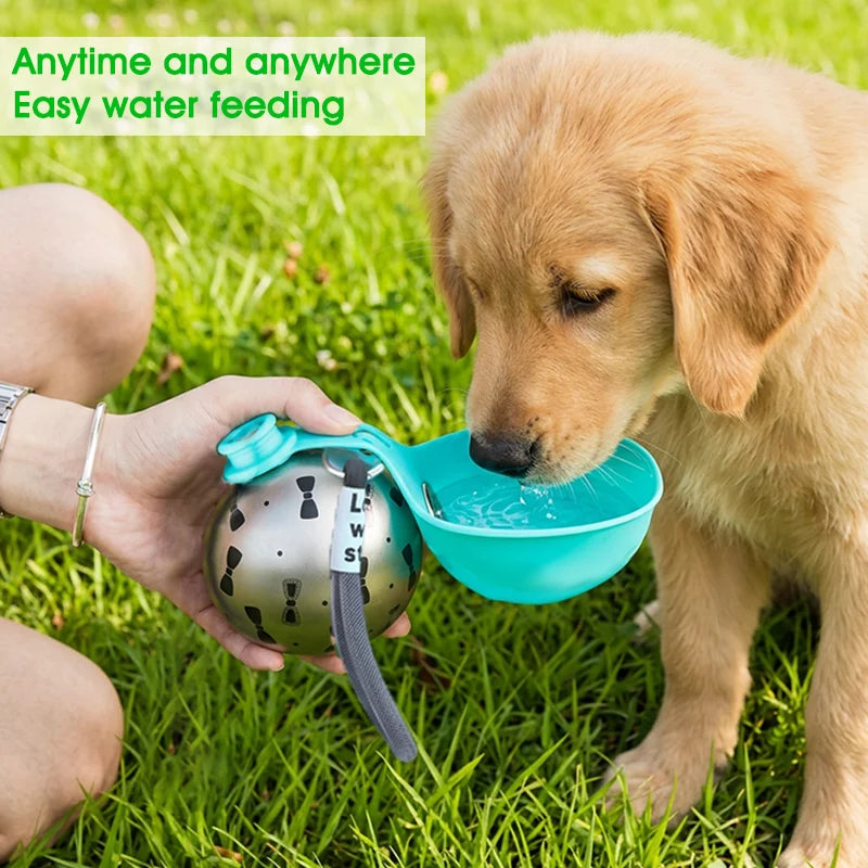 Stainless Steel Kettle Foldable Pet Water Bowl for Dogs & Cats