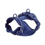 Lightweight Vest-Style Harness for Small Dogs