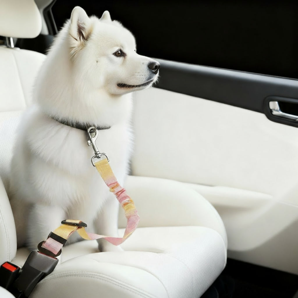 Elastic Retractable Pet Car Safety Seat Belt for Cats and Small Dogs