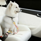 Elastic Retractable Pet Car Safety Seat Belt for Cats and Small Dogs